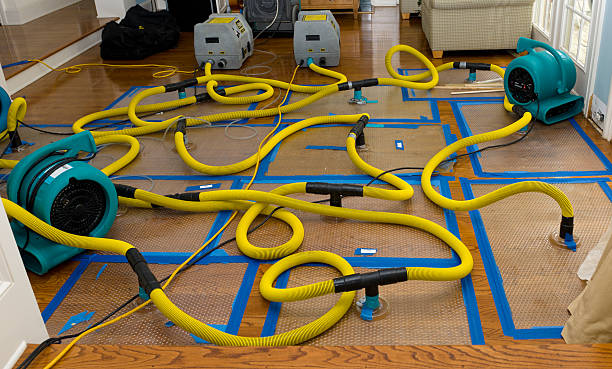 Professional Crawl Space Water Removal technician working in Midway, GA